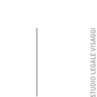 vislexlogo bianco dx png